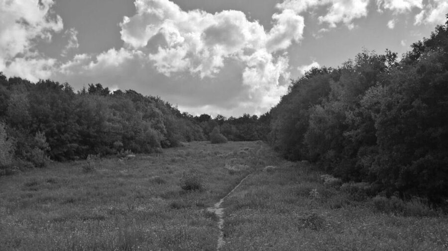 Everesting in Grunewald