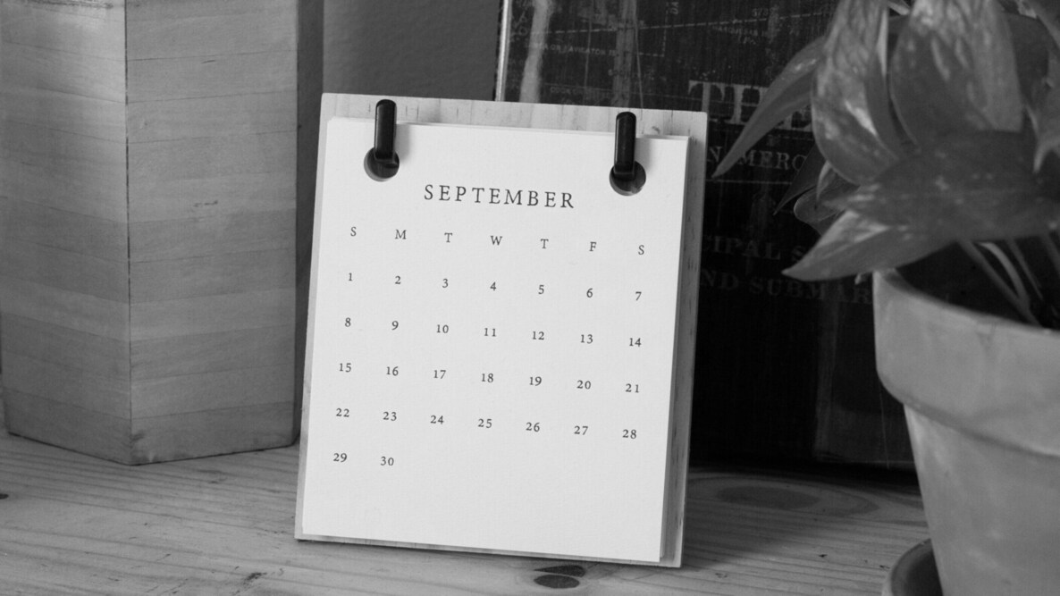 Twelve Weeks In